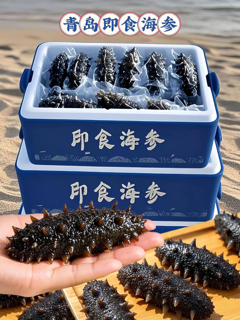 即食海参