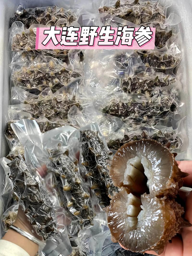海参批发的未来趋势